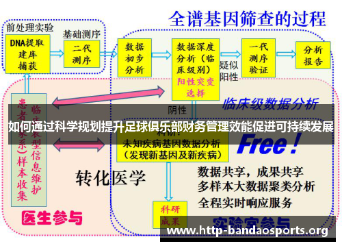 如何通过科学规划提升足球俱乐部财务管理效能促进可持续发展