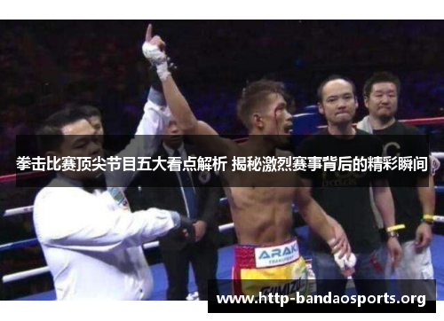 拳击比赛顶尖节目五大看点解析 揭秘激烈赛事背后的精彩瞬间