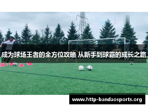 成为球场王者的全方位攻略 从新手到球霸的成长之路