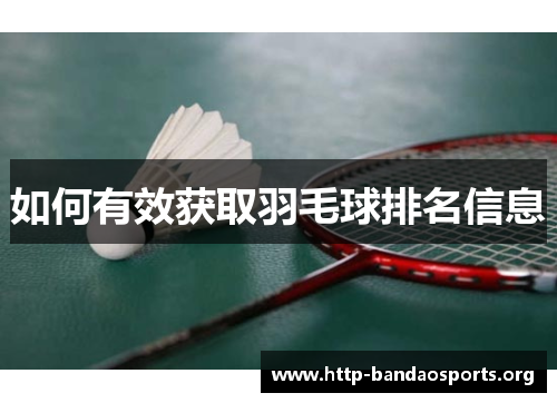 如何有效获取羽毛球排名信息