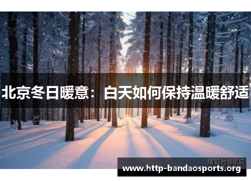 北京冬日暖意：白天如何保持温暖舒适