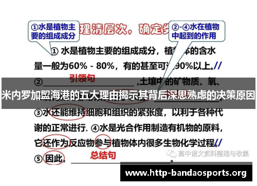 米内罗加盟海港的五大理由揭示其背后深思熟虑的决策原因