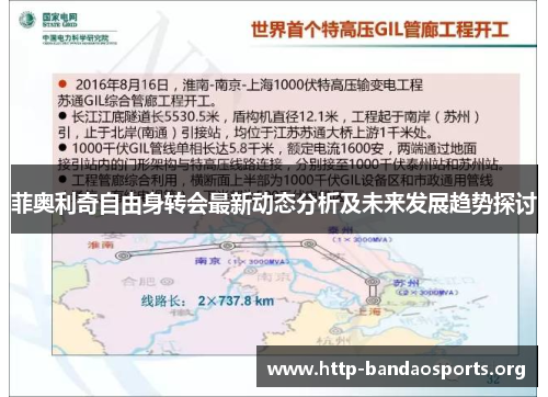 菲奥利奇自由身转会最新动态分析及未来发展趋势探讨