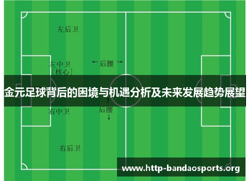 金元足球背后的困境与机遇分析及未来发展趋势展望