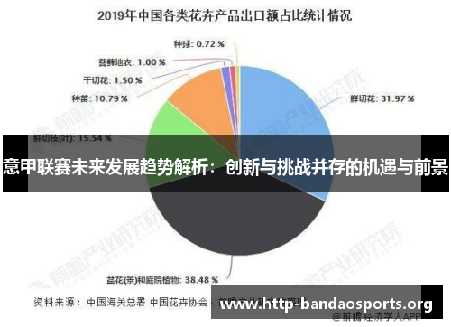 意甲联赛未来发展趋势解析：创新与挑战并存的机遇与前景